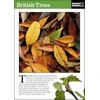 KNYGA Instant Instant Guides British Trees
