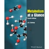 KNYGA J G Salway Metabolism at a Glance