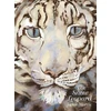 KNYGA Jackie Morris Snow Leopard