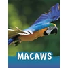KNYGA Jaclyn Jaycox Macaws