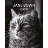 KNYGA Jane Bown: Cats