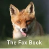 KNYGA Jane Russ Nature Book Series: The Fox Book