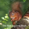 KNYGA Jane Russ Nature Book Series: The Raudona Squirrel Book
