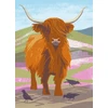 KNYGA Jane Smith Nature Notebook: Highland Cow