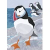 KNYGA Jane Smith Nature Notebook: Puffin