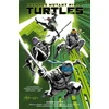 KNYGA Jason Aaron Teenage Mutant Ninja Turtles, Vol. 1: Return to New York