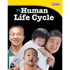 KNYGA Jennifer Prior Human Life Cycle