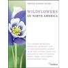 KNYGA Jim Cirigliano National Audubon Society Wildflowers of North America