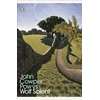 KNYGA John Cowper Powys Wolf Solent