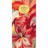 KNYGA John Derian Paper Goods: In the Garden 80-Page Notepad