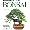 KNYGA John Hanby Practical Art of Bonsai