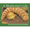 KNYGA John Himmelman Mealworm's Life