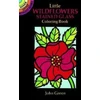 KNYGA John Little Wildflowers Stained Glass Coloring Book