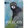 KNYGA Johnny Birks Polecats
