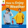 KNYGA Jonny Walker Oxford Reading Tree: Floppy's Phonics Decoding Practice: Oxford Level 4: How to Enjoy the Weather