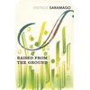 KNYGA Jose Saramago Raised from the Ground