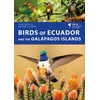 KNYGA Juan Freile Birds of Ecuador and the Galapagos Islands