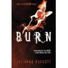 KNYGA Julianna Baggott Burn
