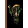 KNYGA Julya Hajnoczky Deep Dark Forest Mushroom Journal