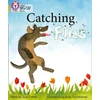 KNYGA June Crebbin Catching Flies