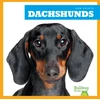 KNYGA Kaitlyn Duling Dachshunds