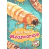 KNYGA Kari Schuetz Mealworms