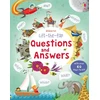 KNYGA Katie Daynes Lift-the-flap Questions and Answers