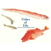 KNYGA Kazuhiko Tajima Fishes of Edo
