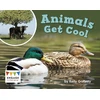 KNYGA Kelly Gaffney Animals Get Cool
