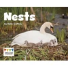 KNYGA Kelly Gaffney Nests