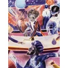 KNYGA Kemper Museum of Contemporary Art Denzil Forrester: Duppy Conqueror / We Culture