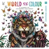 KNYGA Kerby Rosanes World of Colour