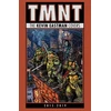 KNYGA Kevin B Eastman Teenage Mutant Ninja Turtles: The Kevin Eastman Covers (2015-2019)