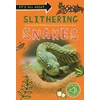 KNYGA Kingfisher It's All About... Slithering Snakes