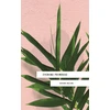 KNYGA Kopano Matlwa Evening Primrose: a heart-wrenching novel for our times