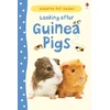 KNYGA Laura Howell Looking after Guinea Pigs