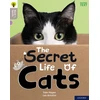 KNYGA Leo Antolini Oxford Reading Tree Word Sparks: Level 1: The Secret Life of Cats