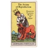 KNYGA Leopoldina Fortunati Arcana of Reproduction, Housewives, Prostitutes, Workers and Capital