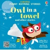 KNYGA Lesley Sims Owl in a towel and other stories