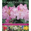 KNYGA Linden Hawthorne Rhododendrons