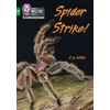 KNYGA Liz Miles Spider Strike!