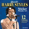 KNYGA Logan Powell Ultimate Harry Styles Sticker Mosaic Art, 12 Amazing Mosaic Art Designs & Fun Facts