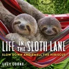 KNYGA Lucy Cooke Life in the Sloth Lane