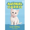 KNYGA Lucy Daniels Animal Ark, New 9: Lost Kitten