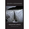 KNYGA Luljeta Lleshanaku Negative Space