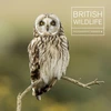KNYGA Maggie Gowan British Wildlife Photography Awards 9