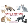 KNYGA Marcel George Cats &amp; Kittens
