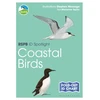 KNYGA Marianne Taylor RSPB ID Spotlight - Coastal Birds
