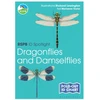 KNYGA Marianne Taylor RSPB ID Spotlight - Dragonflies and Damselflies