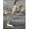 KNYGA Marianne Taylor RSPB Seabirds
